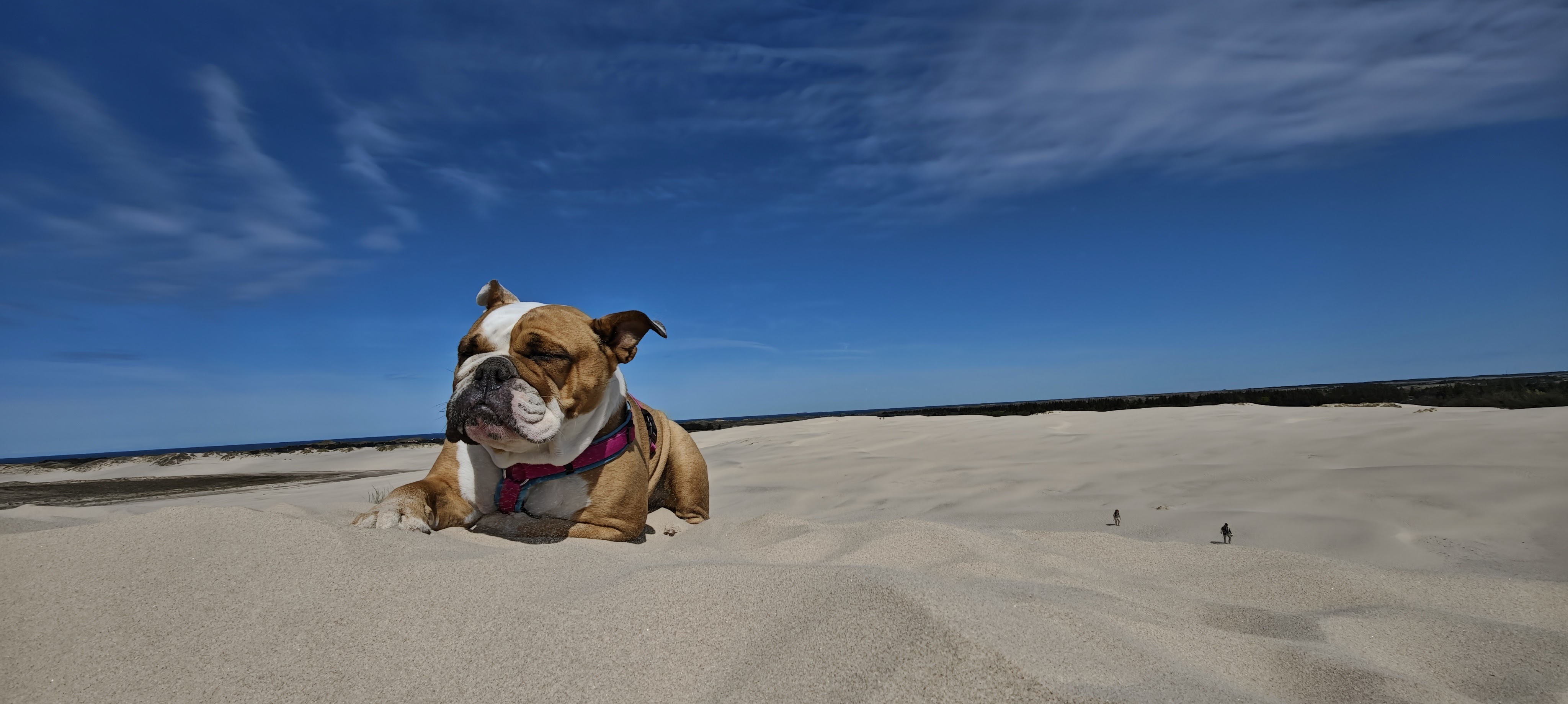 mvimg 20250507 121804