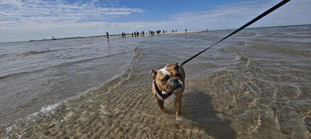 mvimg 20250508 131122