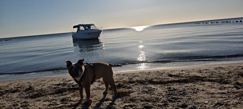 mvimg 20250701 195214