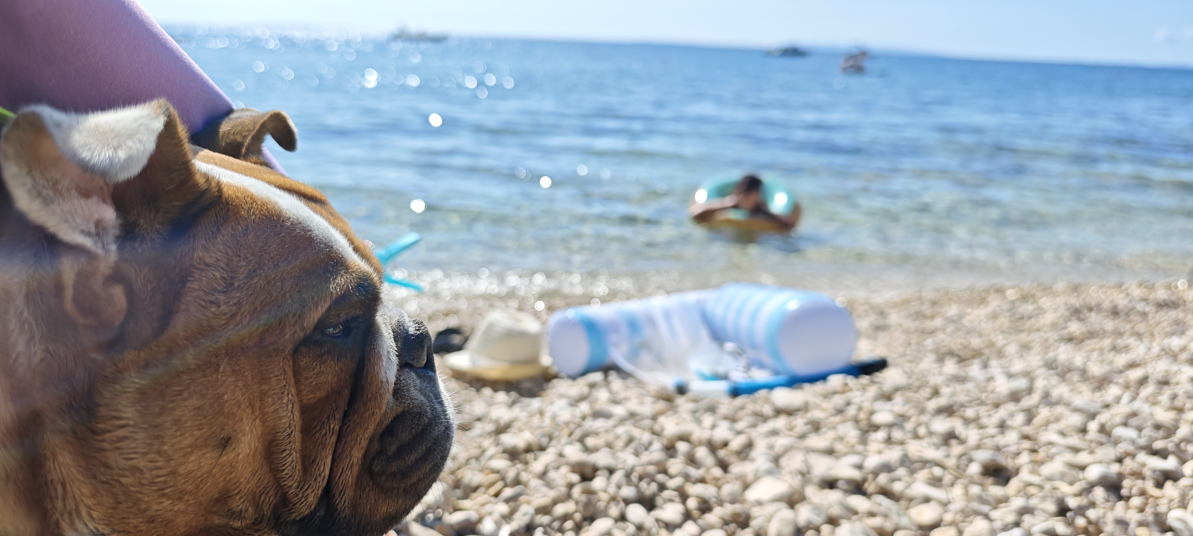 mvimg 20250915 150255