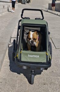 mvimg 20250916 140056